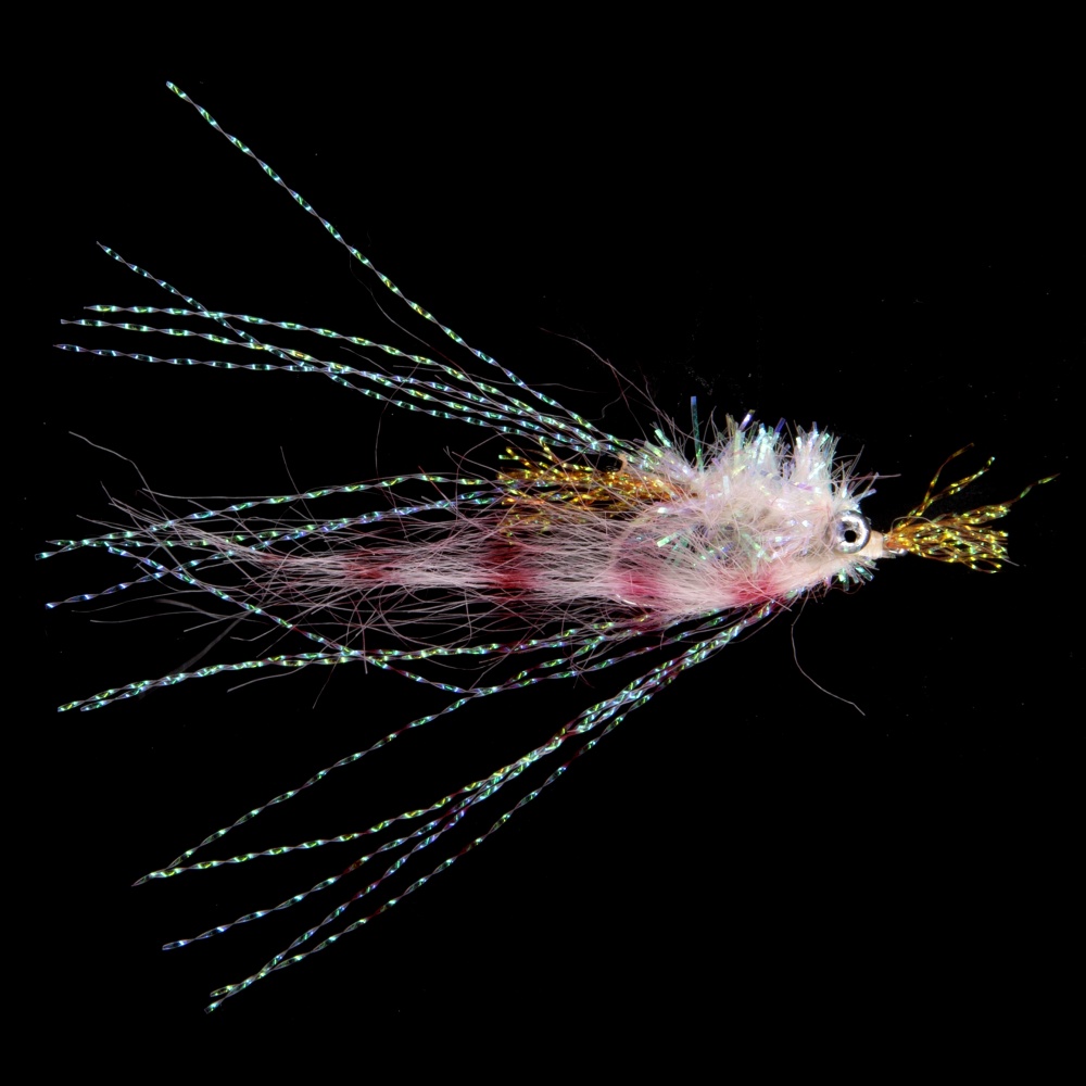Saltwater Sparkle Shrimp